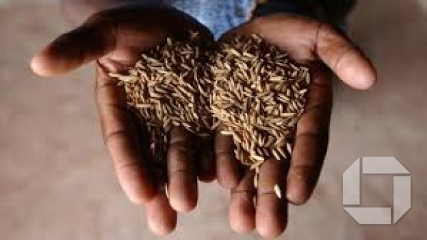 Food security