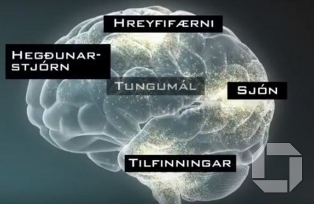 Ný myndbönd um heilbrigðan þroska og tengsl barna og foreldra