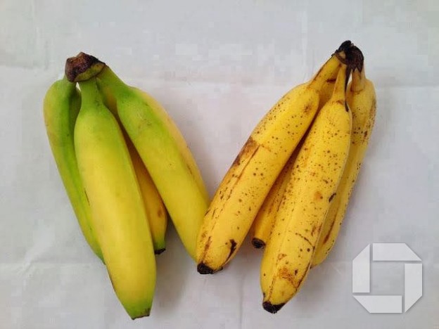 Bananar
