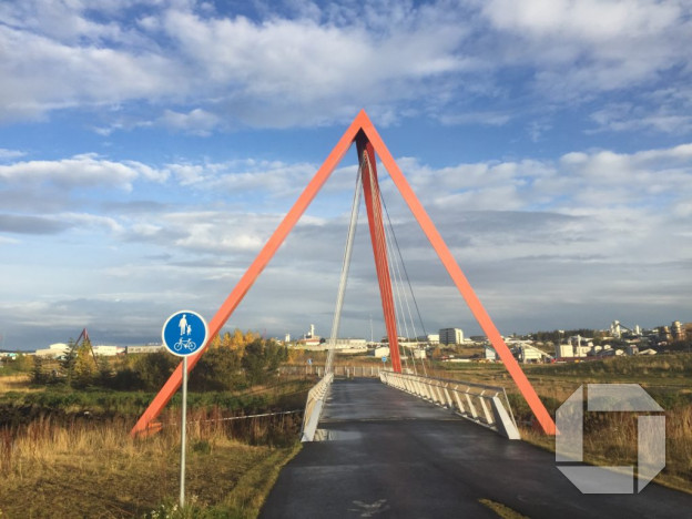 Alþjóðlegi hjartadagurinn er haldinn 29. september ár hvert