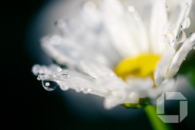 Lífið er ekki flókið - Guðni með hugleiðingu dagsins