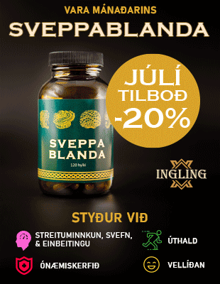 Sveppa310X400