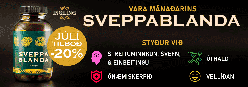 Sveppa 1018x210 nýtt